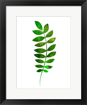 Framed Tropical Zamioculcas Leaf Print