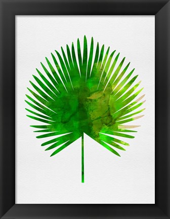 Framed Tropical Chamaerops Leaf Print