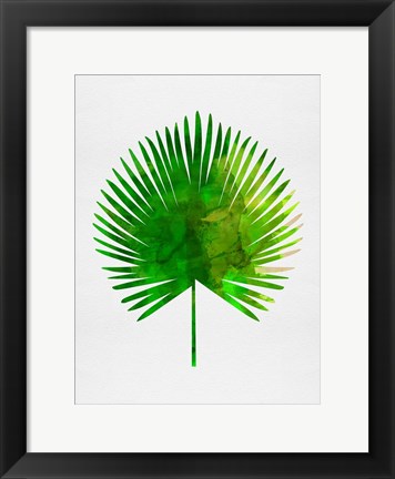 Framed Tropical Chamaerops Leaf Print