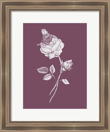 Framed Rose Purple Flower Print