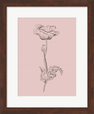 Framed Poppy Blush Pink Flower Print