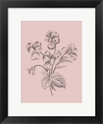 Framed Violet Blush Pink Flower Print