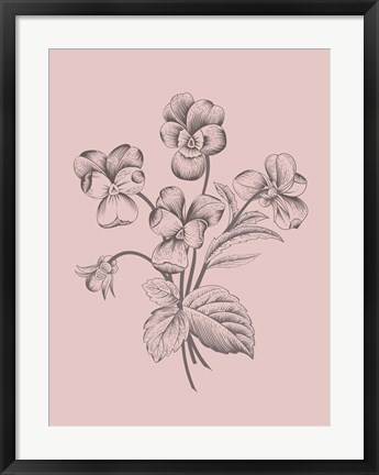 Framed Violet Blush Pink Flower Print