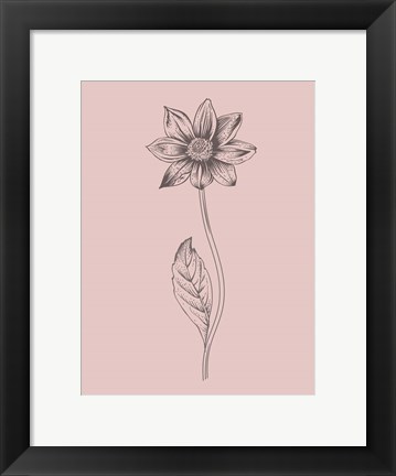 Framed Dahlia Blush Pink Flower Print