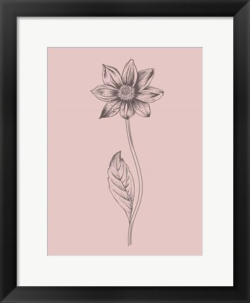 Framed Dahlia Blush Pink Flower Print