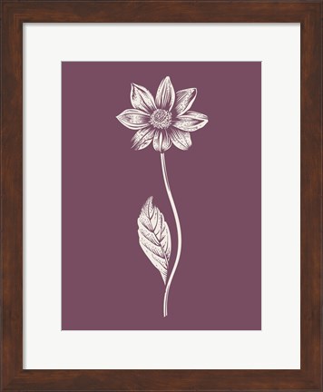 Framed Dahlia Purple Flower Print