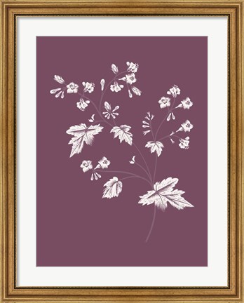 Framed Phacelia Purple Flower Print