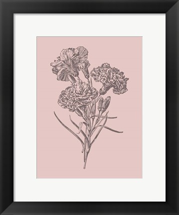 Framed Carnations Bush Pink Flower Print