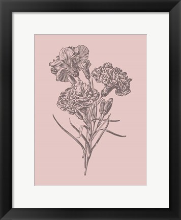 Framed Carnations Bush Pink Flower Print