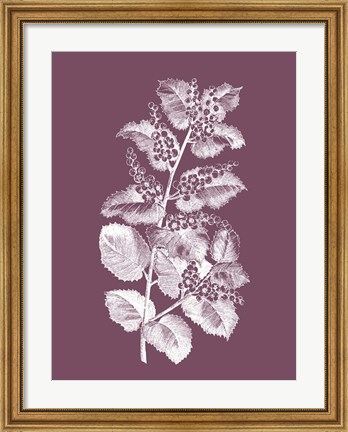 Framed Cerasus Purple Flower Print