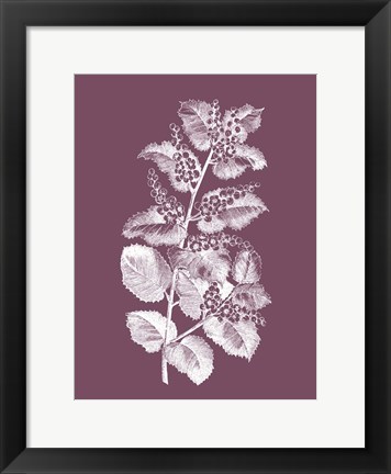 Framed Cerasus Purple Flower Print