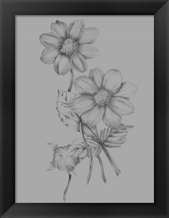 Framed Flower Sketch Print