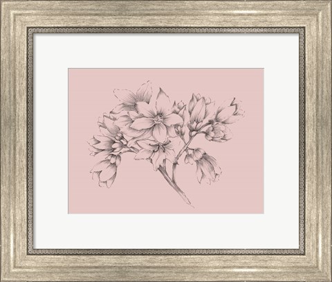 Framed Blush Pink Flower Illustration Print