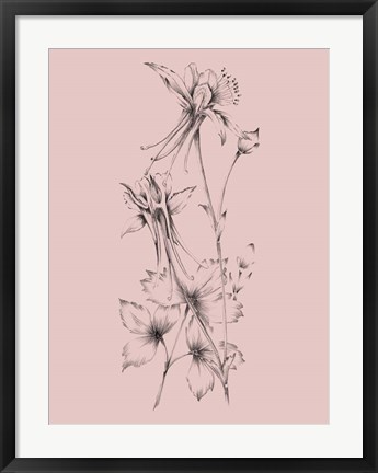 Framed Blush Pink Flower Print