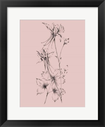 Framed Blush Pink Flower Print