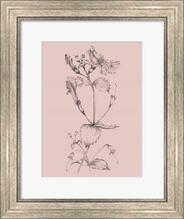 Framed Blush Pink Flower I Print