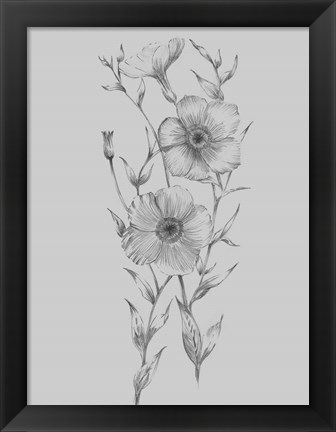 Framed Grey Flower Sketch Illustration I Print