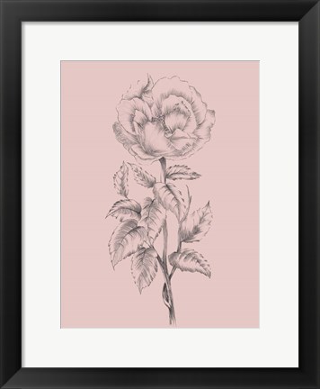 Framed Pretty Pink Flower Print