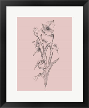 Framed Pretty Pink Flower I Print