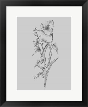 Framed Pretty Flower I Print