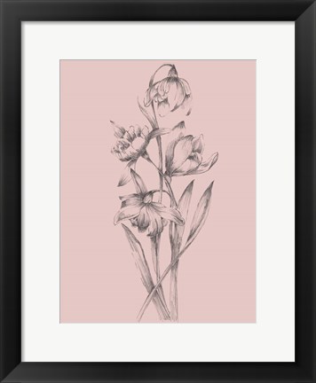 Framed Pretty Pink Flower II Print