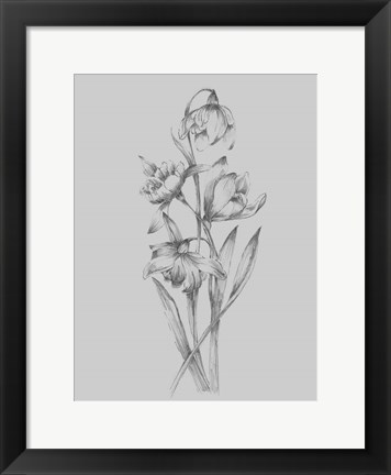 Framed Pretty Flower II Print