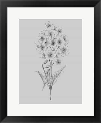 Framed Pretty Flower III Print