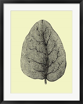 Framed Leaf Print