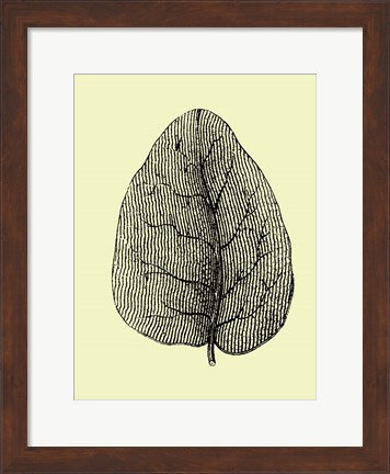 Framed Leaf Print