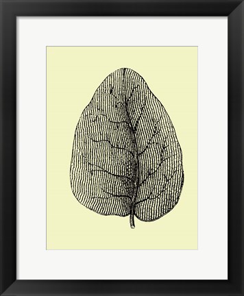 Framed Leaf Print