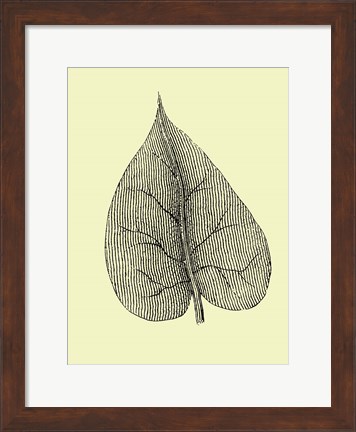 Framed Leaf I Print