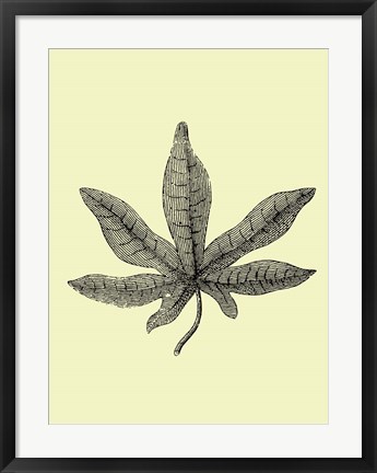 Framed Vintage Leaf Print