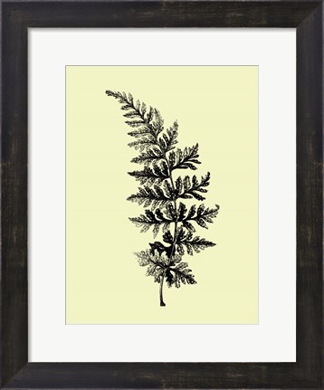 Framed Floating Leaf Branch I Print