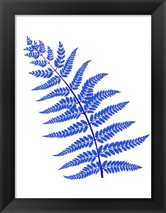 Framed Blue Leaf Plant Print