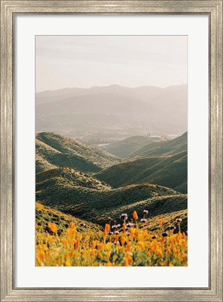 Framed Palomar Print