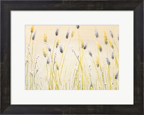 Framed Bugbane Field Print