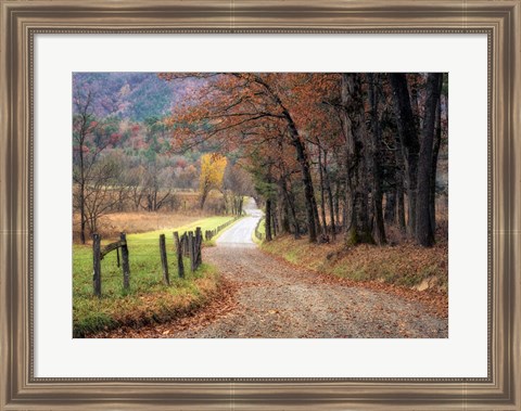 Framed Autumn Drive I Print