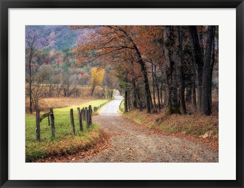 Framed Autumn Drive I Print