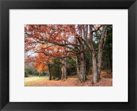 Framed Autumn Drive II Print