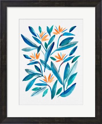 Framed Bird of Paradise Flower 1 Print