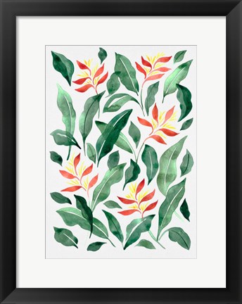 Framed Parakeet Flower Print