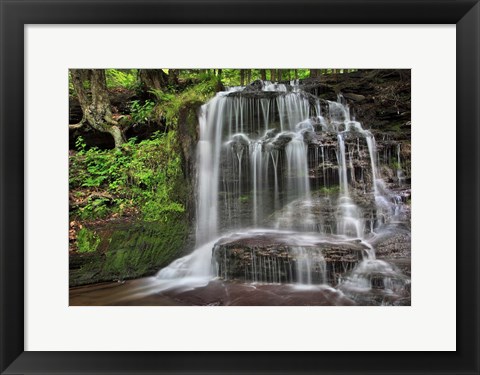 Framed Gunn Brooks Falls Print