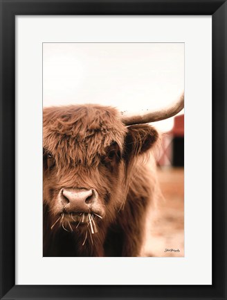 Framed Hungry Highland II Print