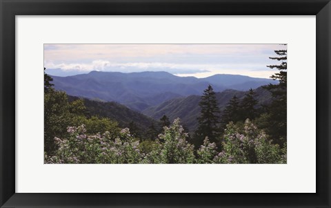 Framed Scenic Mountain View Print