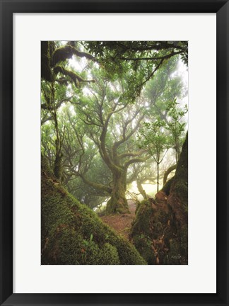 Framed Tree Love Print