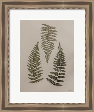 Framed Light Fern Study I Print