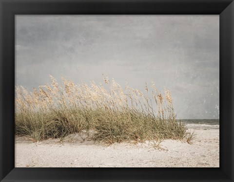 Framed Vintage Beach Grass I Print