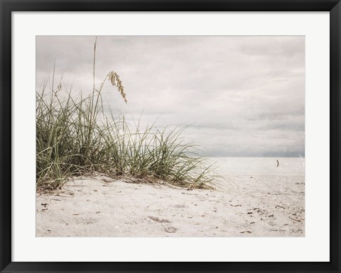 Framed Vintage Beach Grass II Print