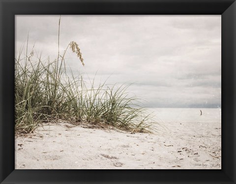 Framed Vintage Beach Grass II Print