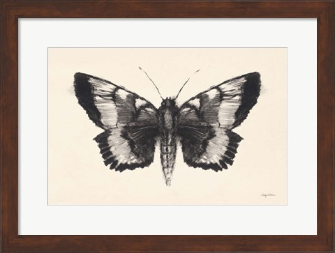 Framed Moth V Print